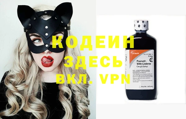 индика Вязники