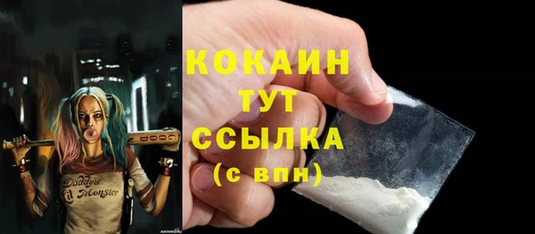 стафф Вязьма