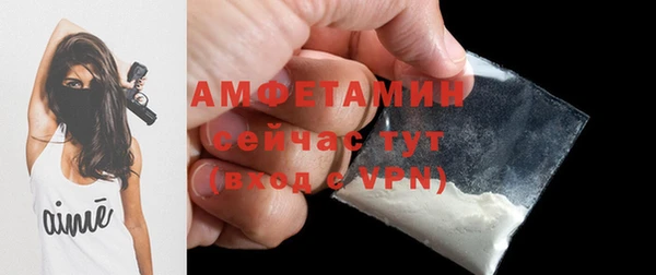 индика Вязники