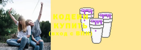 индика Вязники