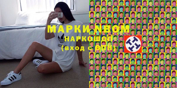 стафф Вязьма