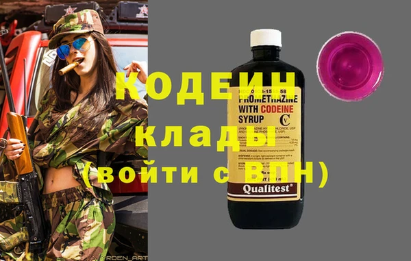 индика Вязники