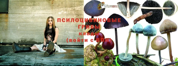 индика Вязники