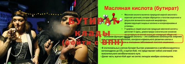 индика Вязники