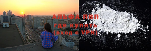 стафф Вязьма