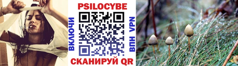 Купить  Красноуральск  Галлюциногенные грибы GOLDEN TEACHER 